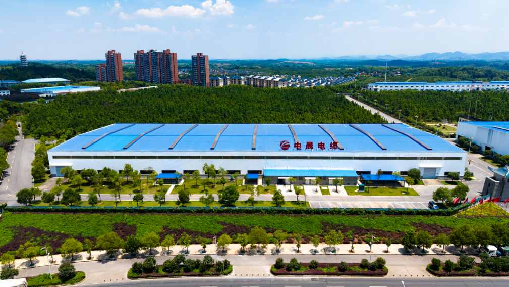 龙岩中高压电力电缆价格行情解析与市场趋势洞察